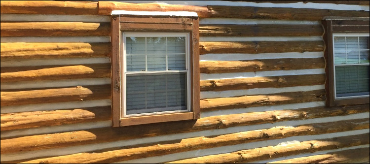Log Home Whole Log Replacement  Linville, Virginia