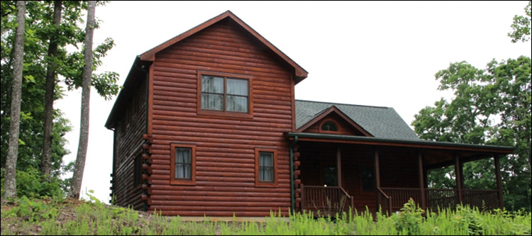 Professional Log Home Borate Application  Linville, Virginia